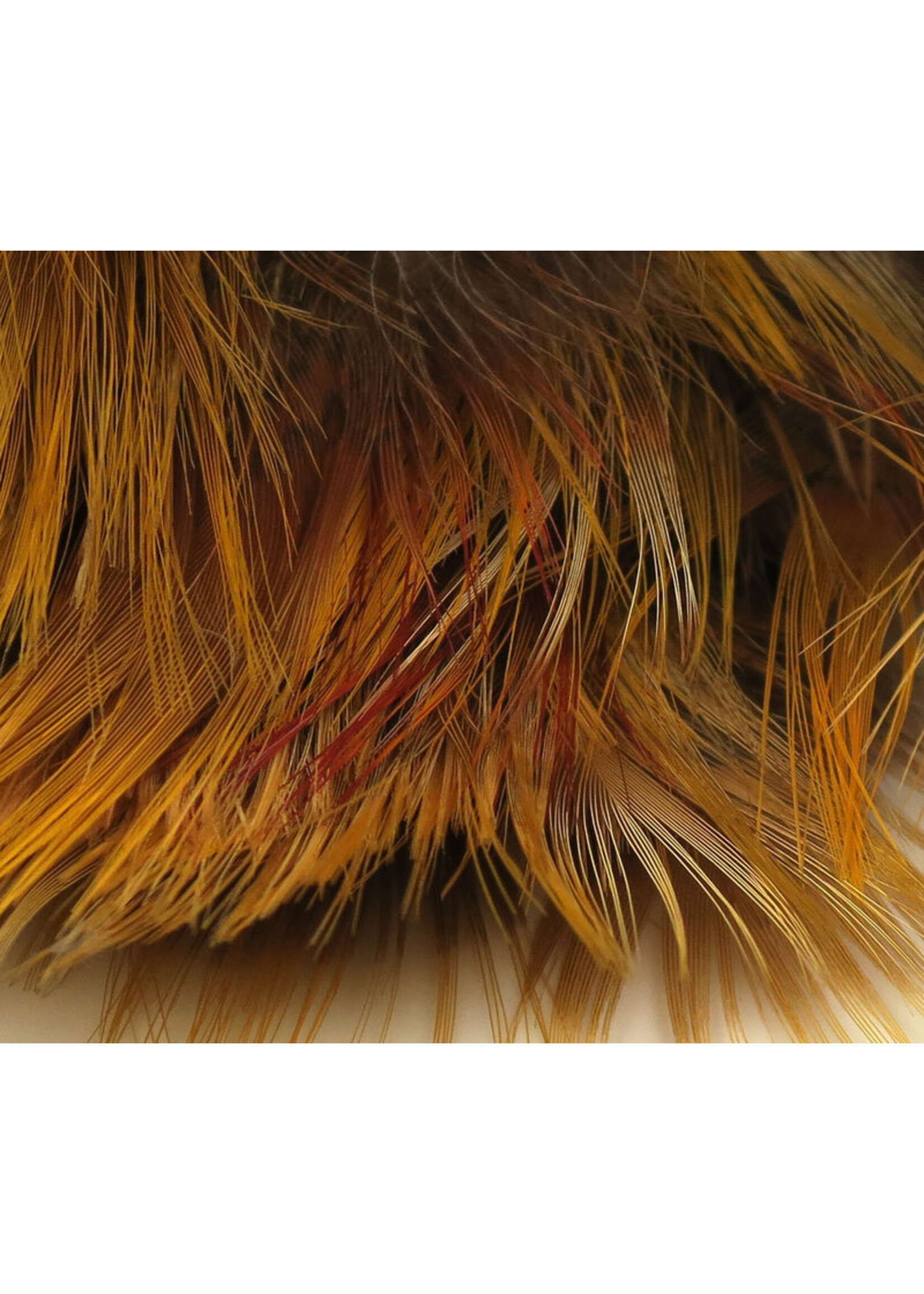 Hareline Dubbin Hareline Golden Pheasant Body Feathers