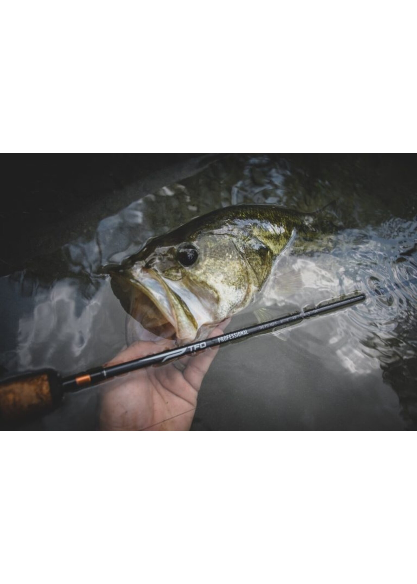 Temple Fork Outfitters TFO Professional Casting Rods