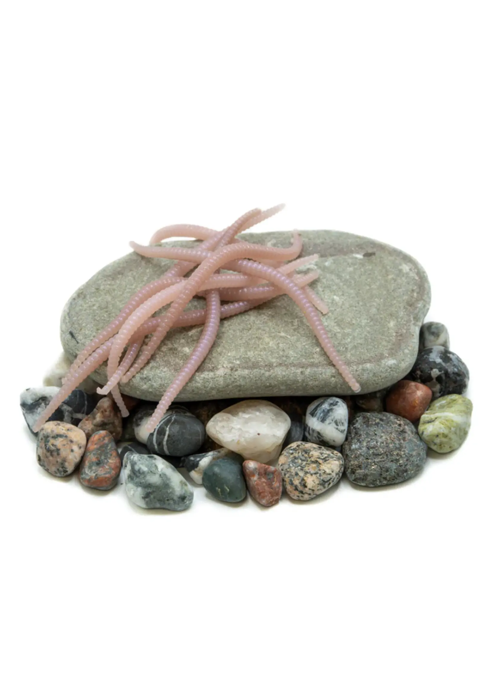 Death Roe Death Roe Convict Crawler