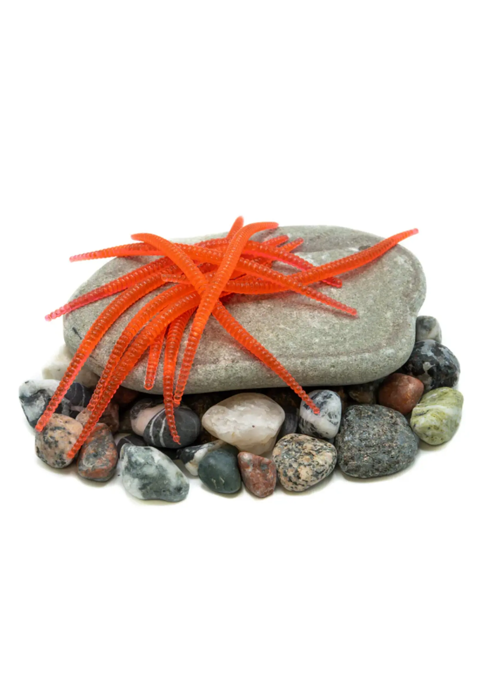 Death Roe Death Roe Convict Crawler