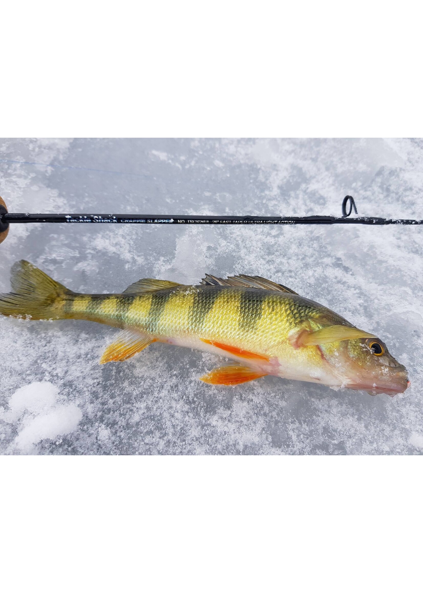Tackle Shack Tackle Shack Crappie Slapper Ultralight Ice Rod