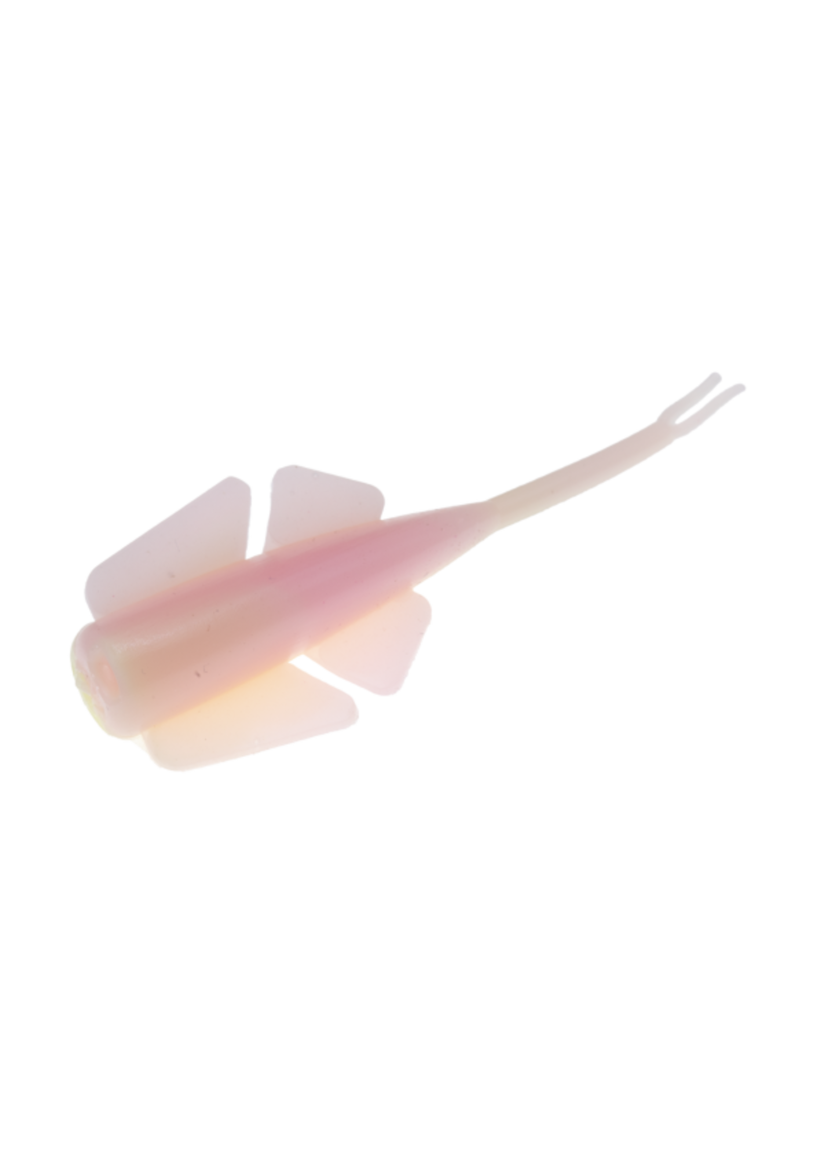 Clam Clam Niku Flutter Fry