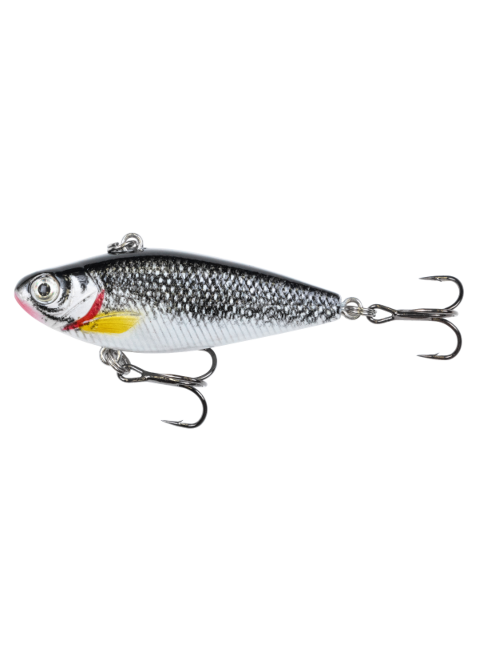 Clam Clam Psycho Shad
