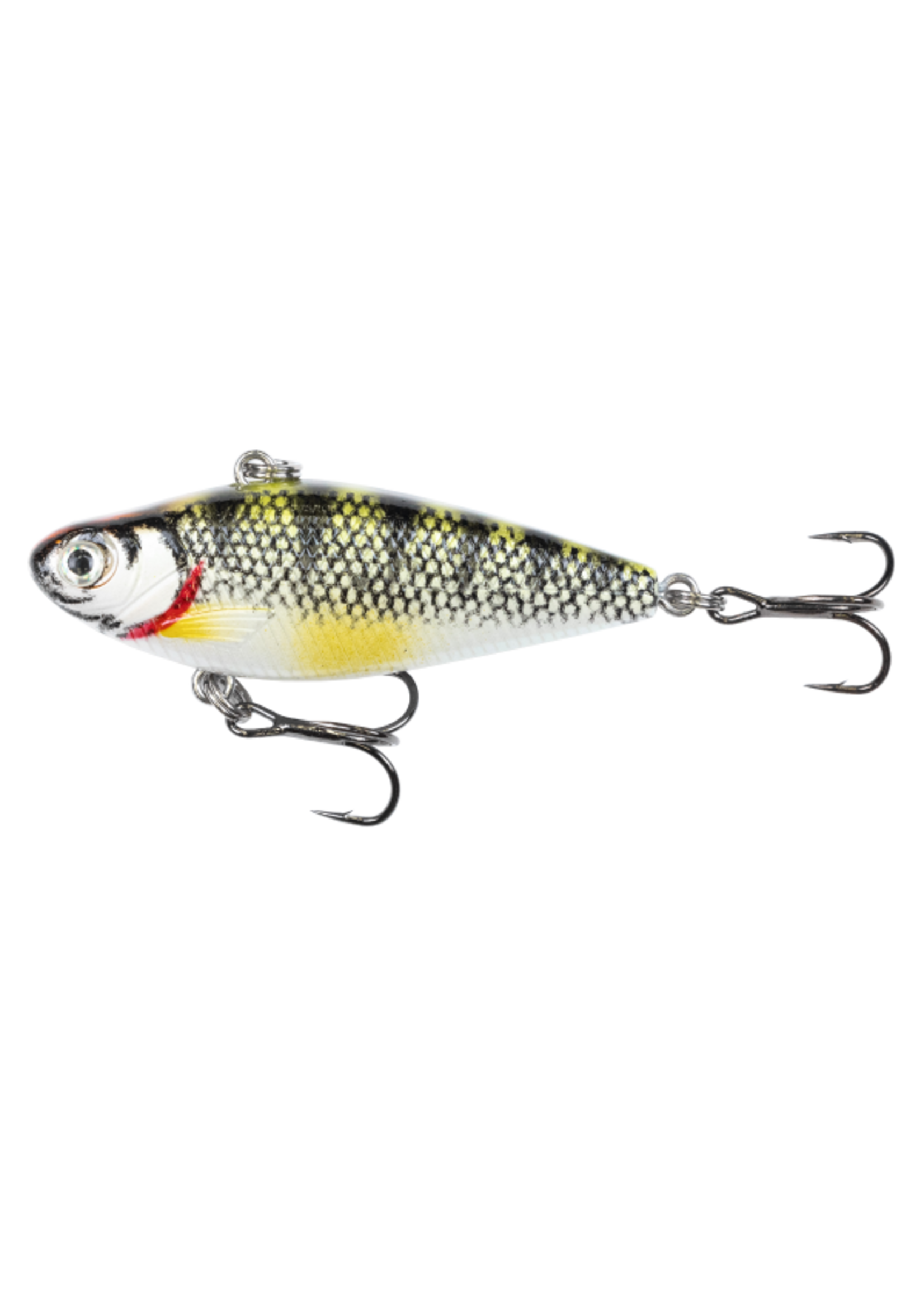Clam Clam Psycho Shad