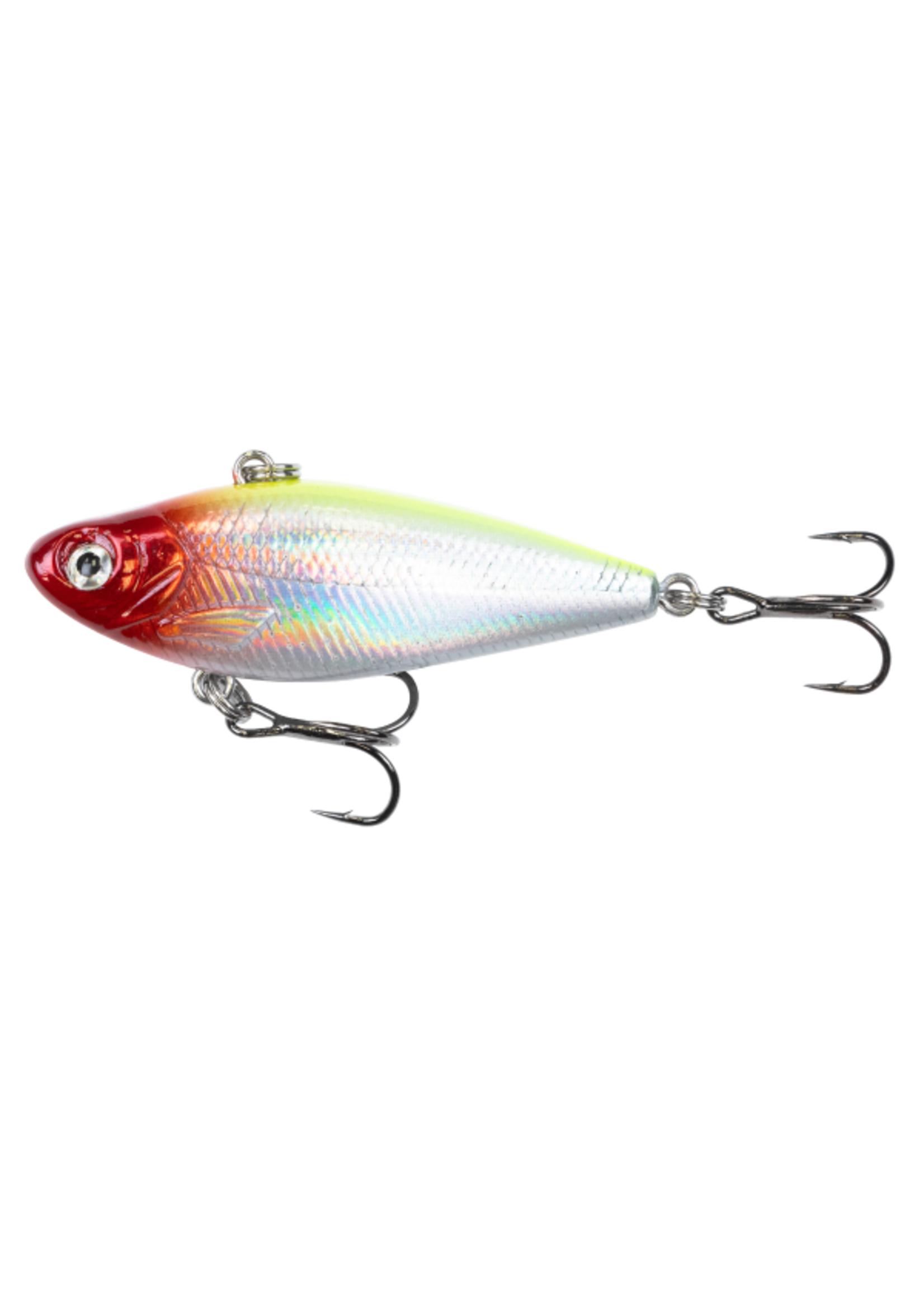 Clam Clam Psycho Shad