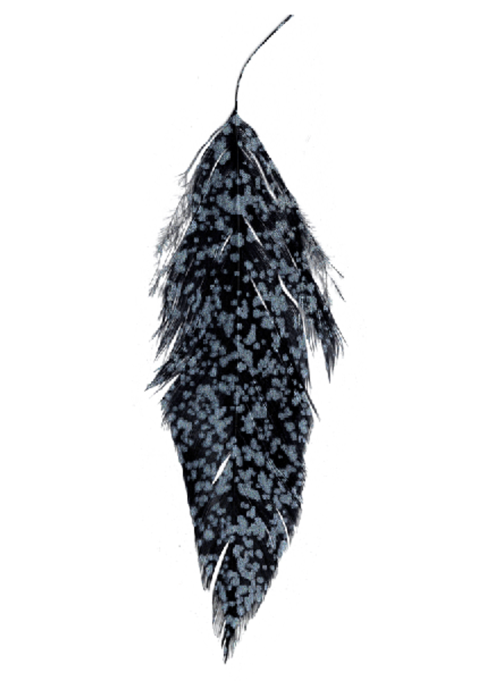 Montana Fly Company MFC Mottled Schlappen