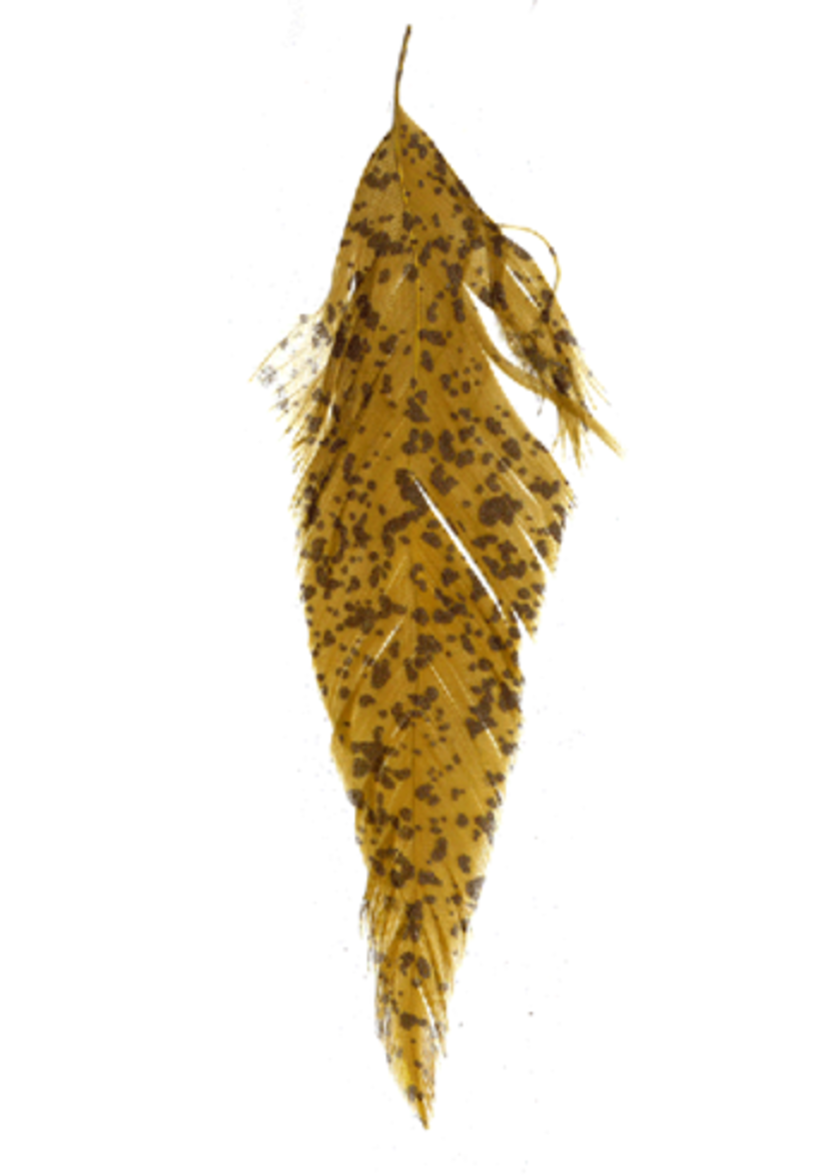 Montana Fly Company MFC Mottled Schlappen