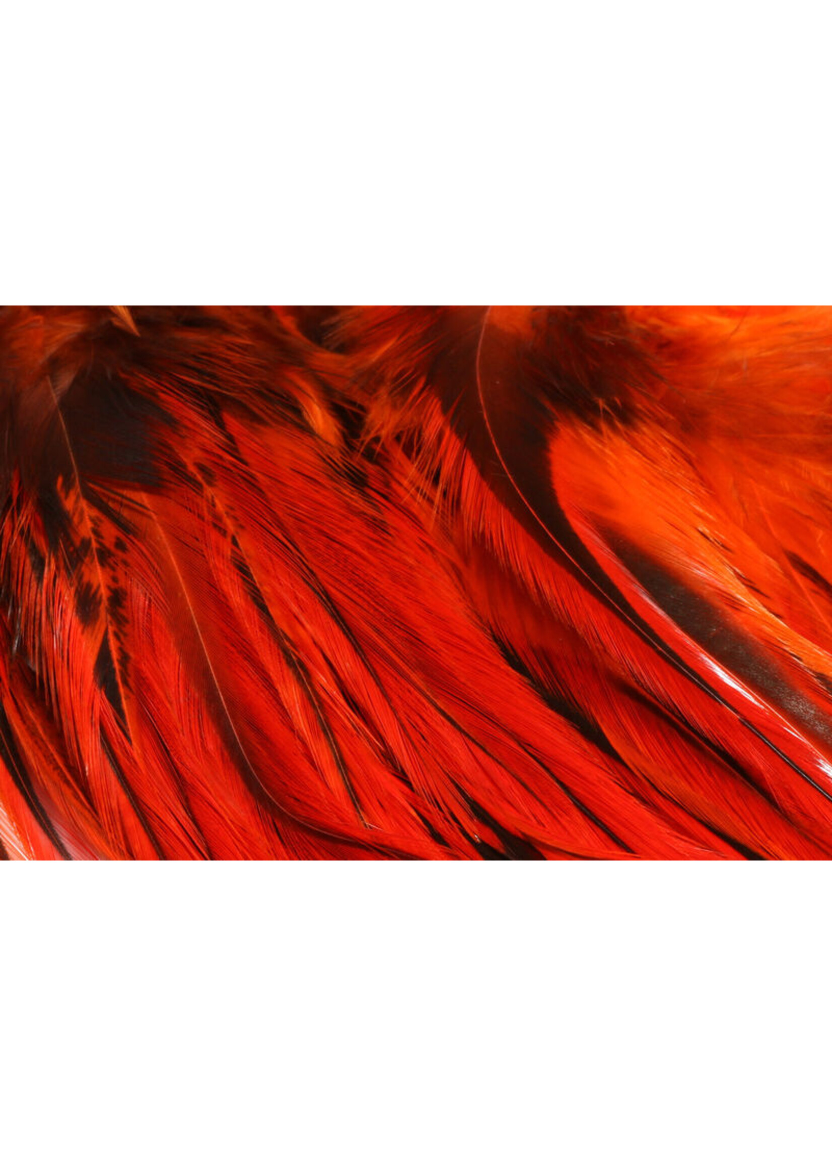 Hareline Dubbin Hareline Badger Saddle 5-7″