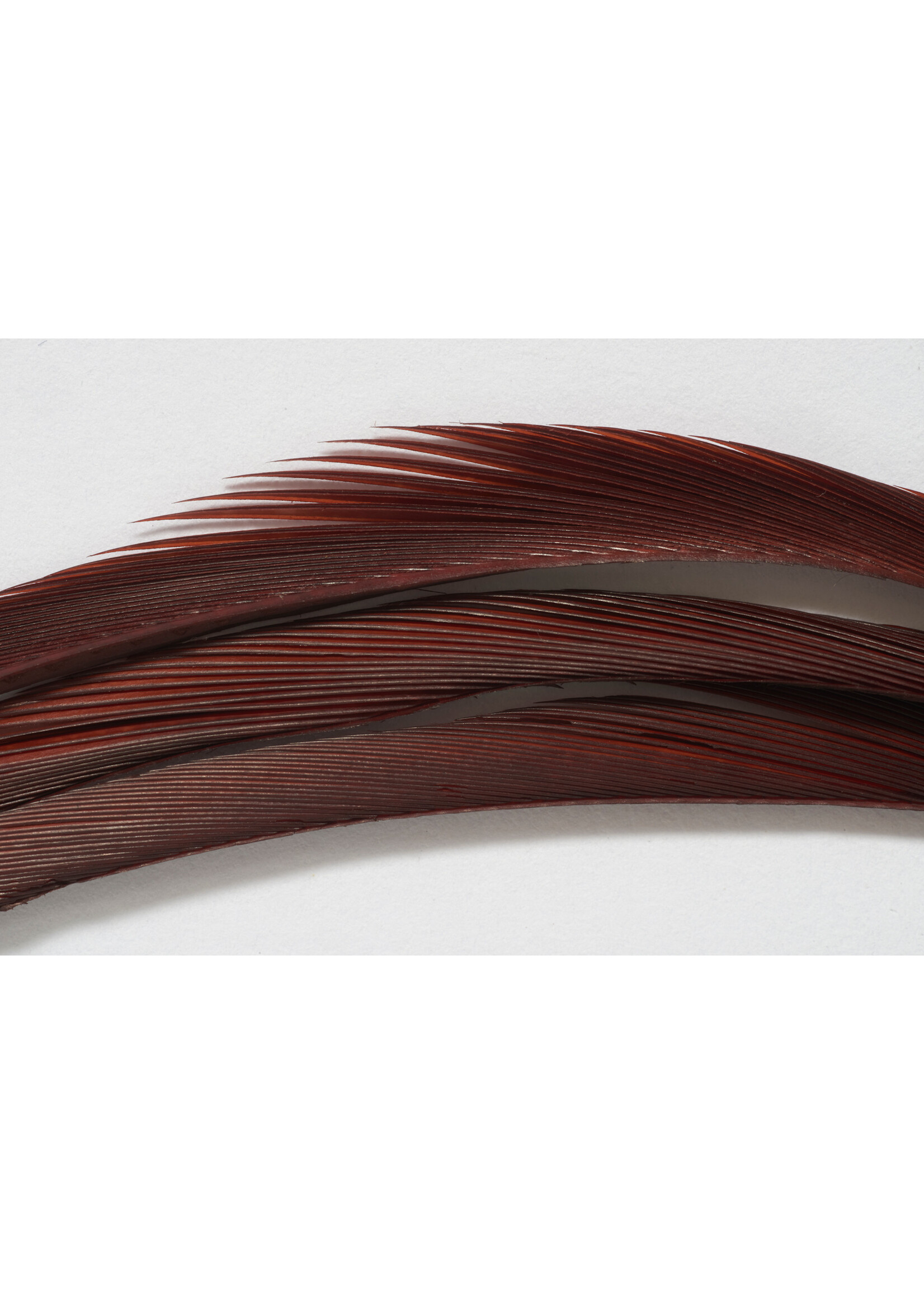 Fulling Mill Fulling Mill Premium Selected Goose Biots