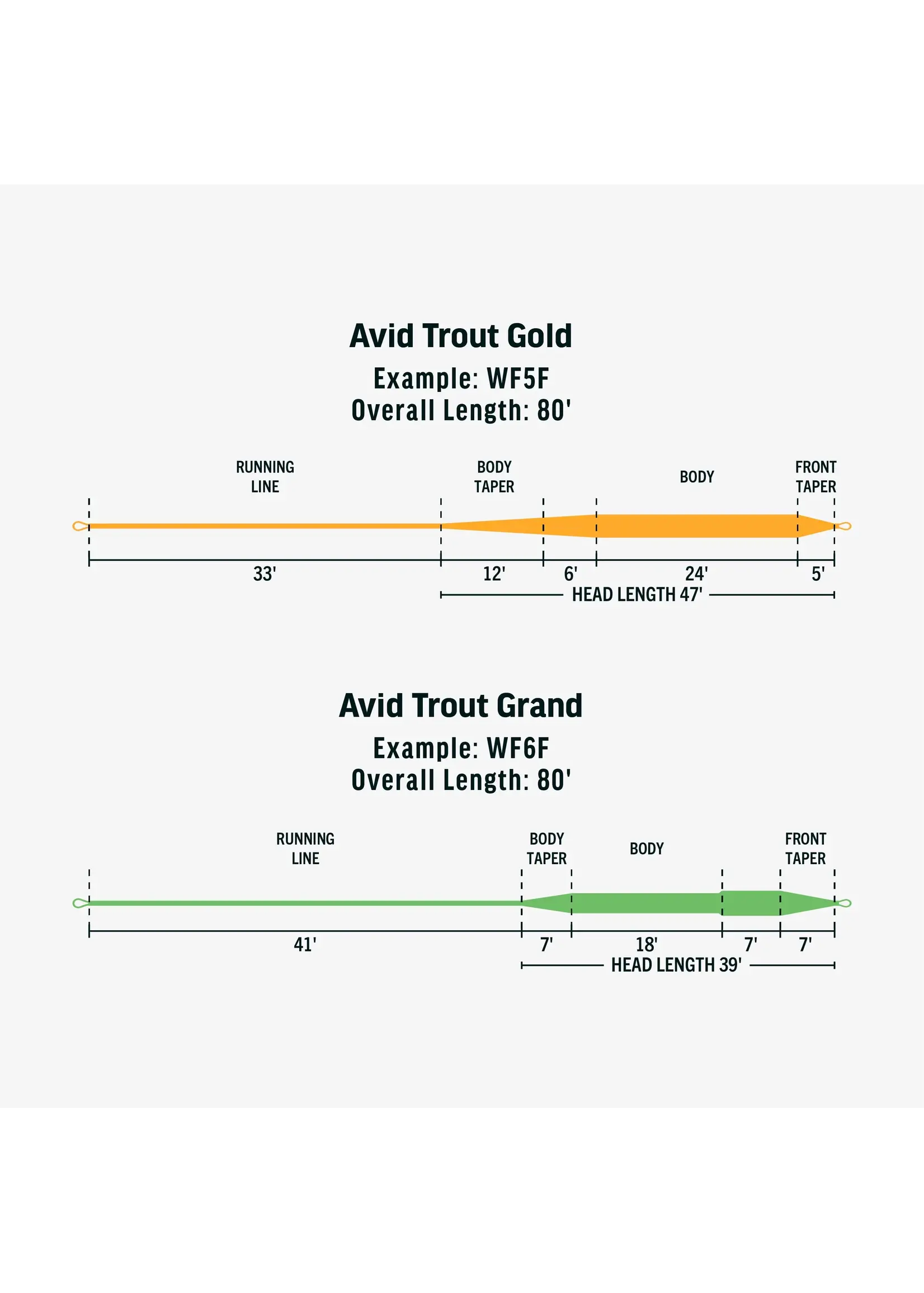 Rio Rio Avid Gold Floating Fly Line