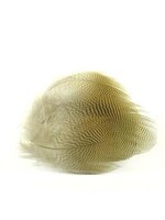 Wapsi Wapsi Wood Duck - Lemon Barred