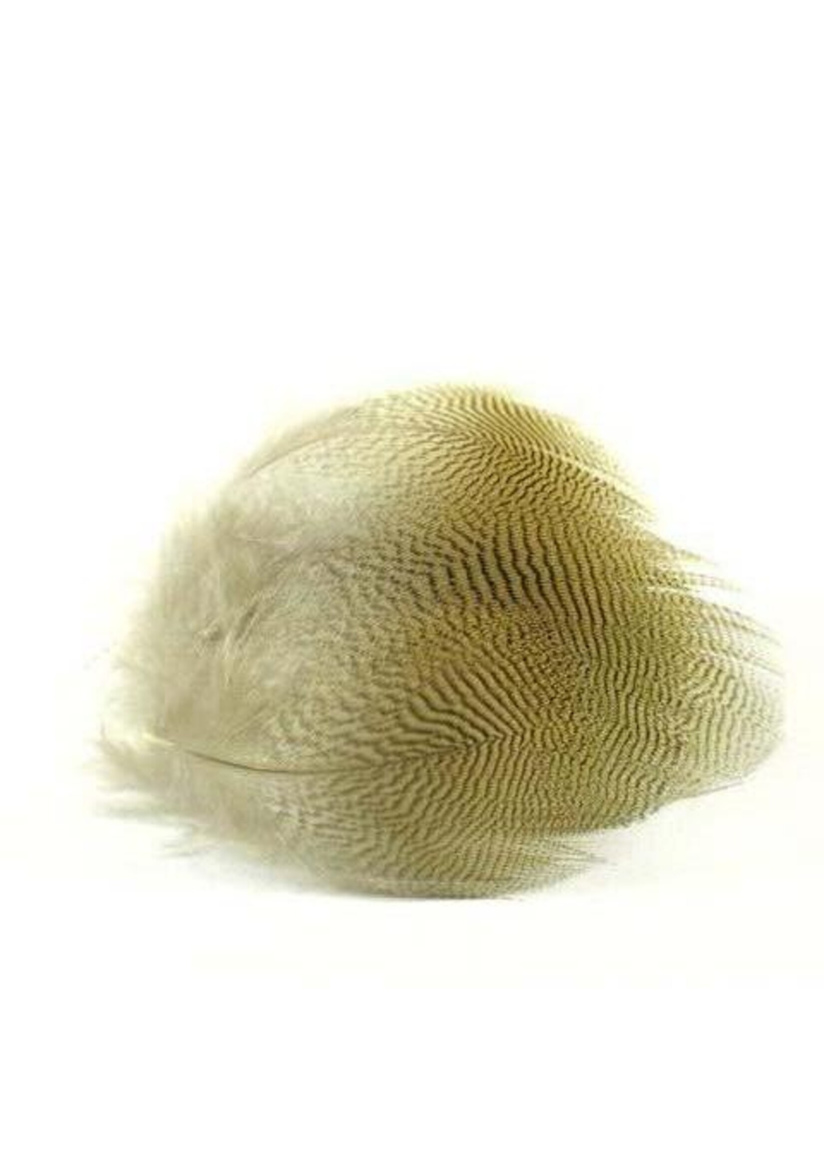 Wapsi Wapsi Wood Duck - Lemon Barred