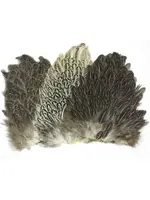 Wapsi Wapsi Soft Hackle Hen Saddle Patch