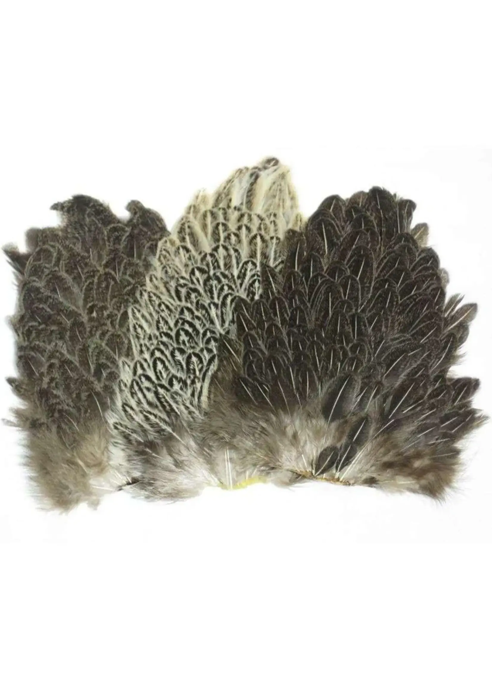 Wapsi Wapsi Soft Hackle Hen Saddle Patch