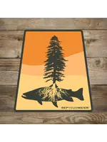 Rep Your Water RepYourWater Fly Fishing Roots Sticker