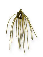 3Brothers 3Brothers Loaded Dice