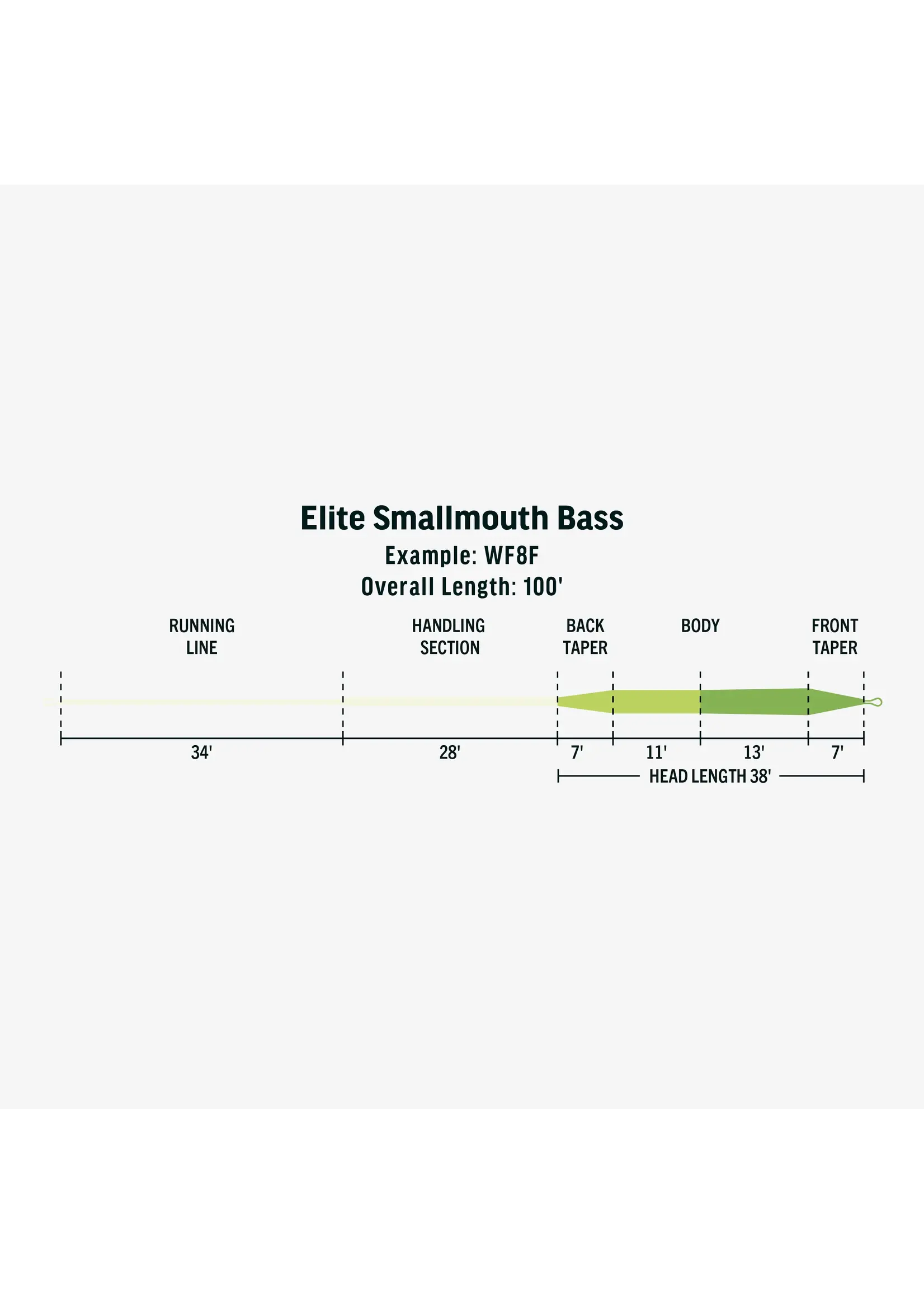 Rio Rio Elite Smallmouth Bass Fly Line