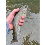 Guide Trip Information & Rates