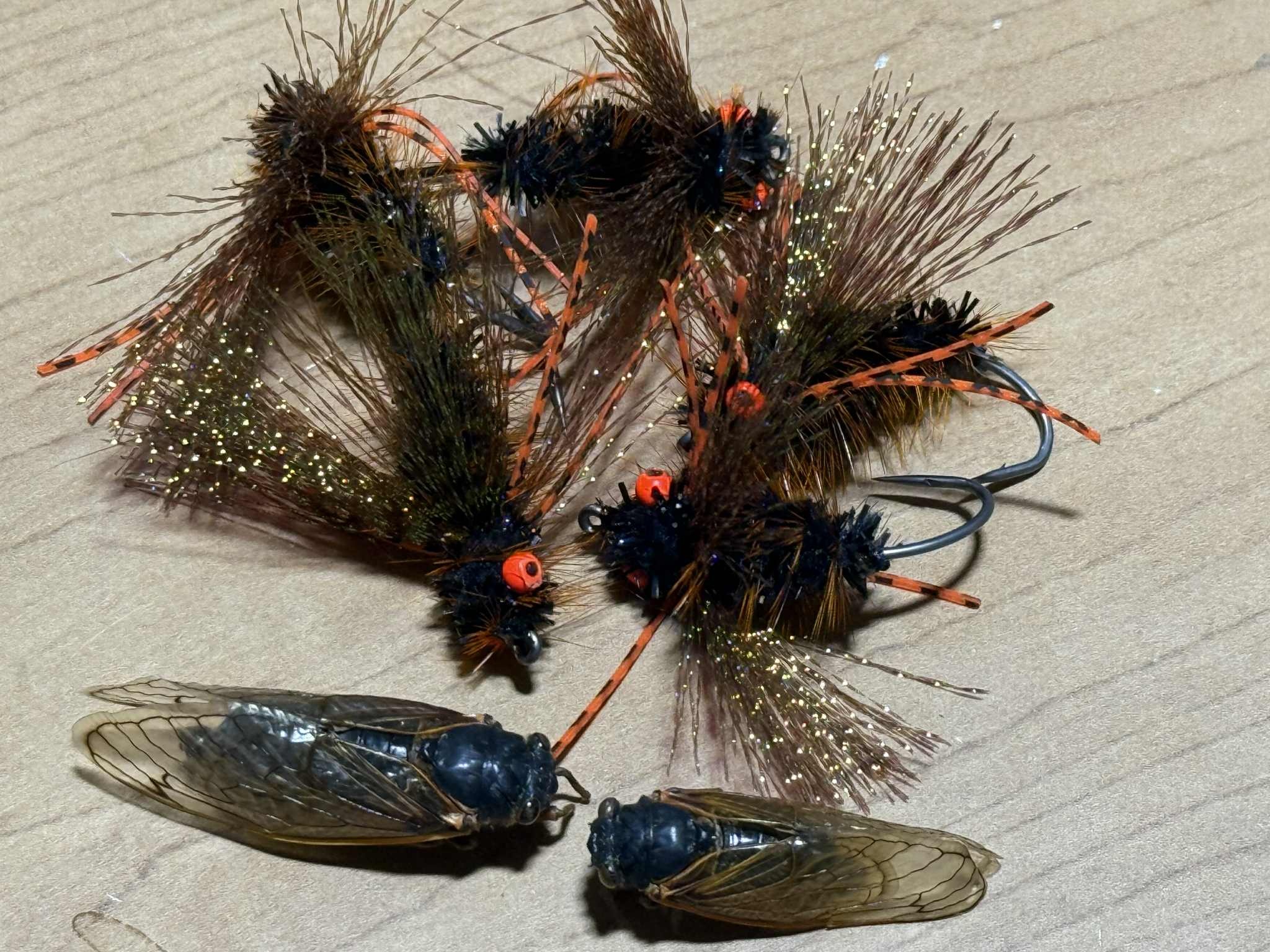 Paul's Scuba Cicada - A sinking pattern 