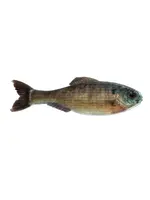 6th Sense Fishing 6th Sense Panorama