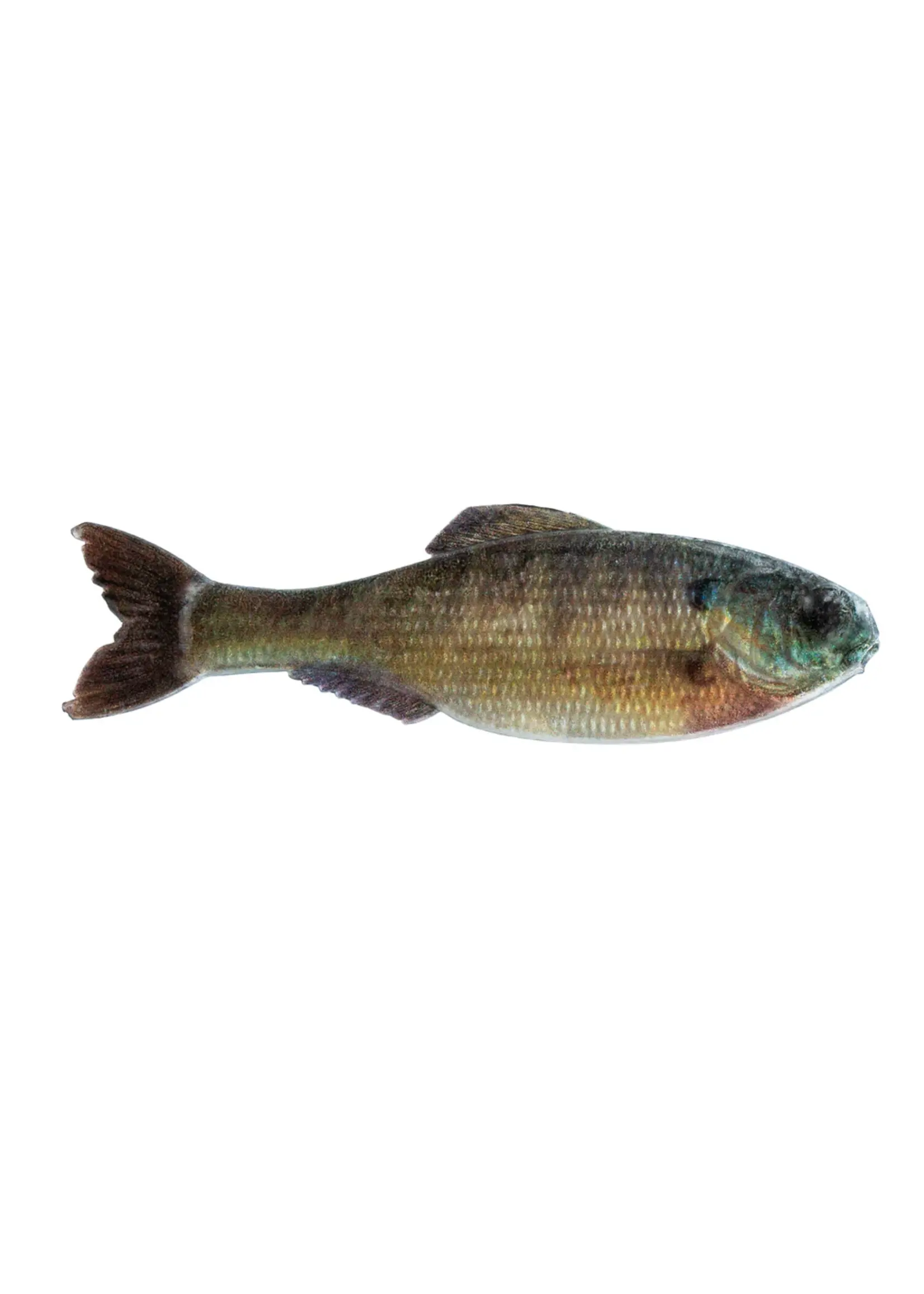 6th Sense Fishing 6th Sense Panorama