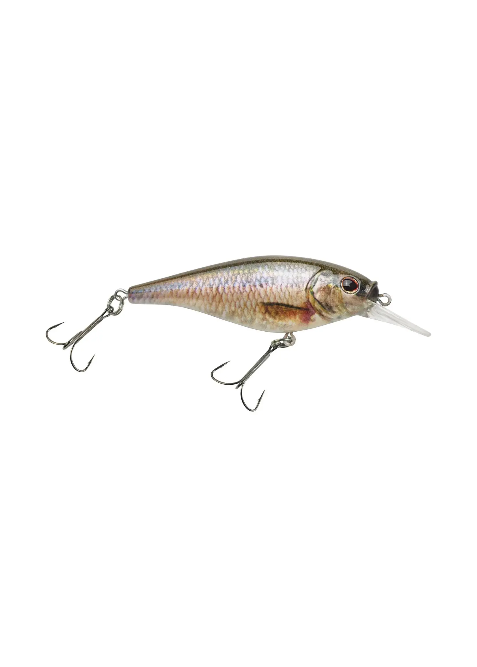 Berkley Fishing Berkley Flicker Shad Shallow Diver