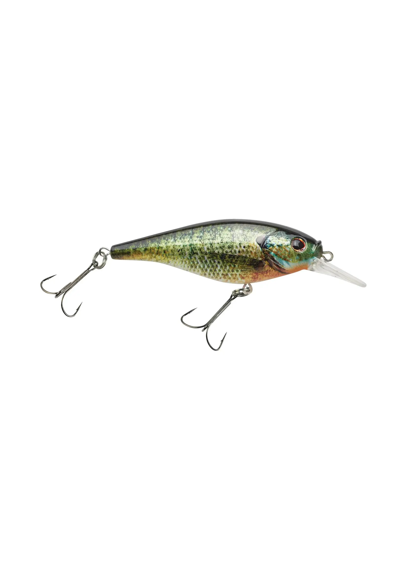 Berkley Fishing Berkley Flicker Shad Shallow Diver