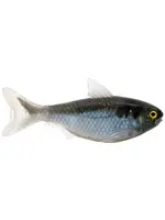 Live Target Livetarget Unrigged Shad