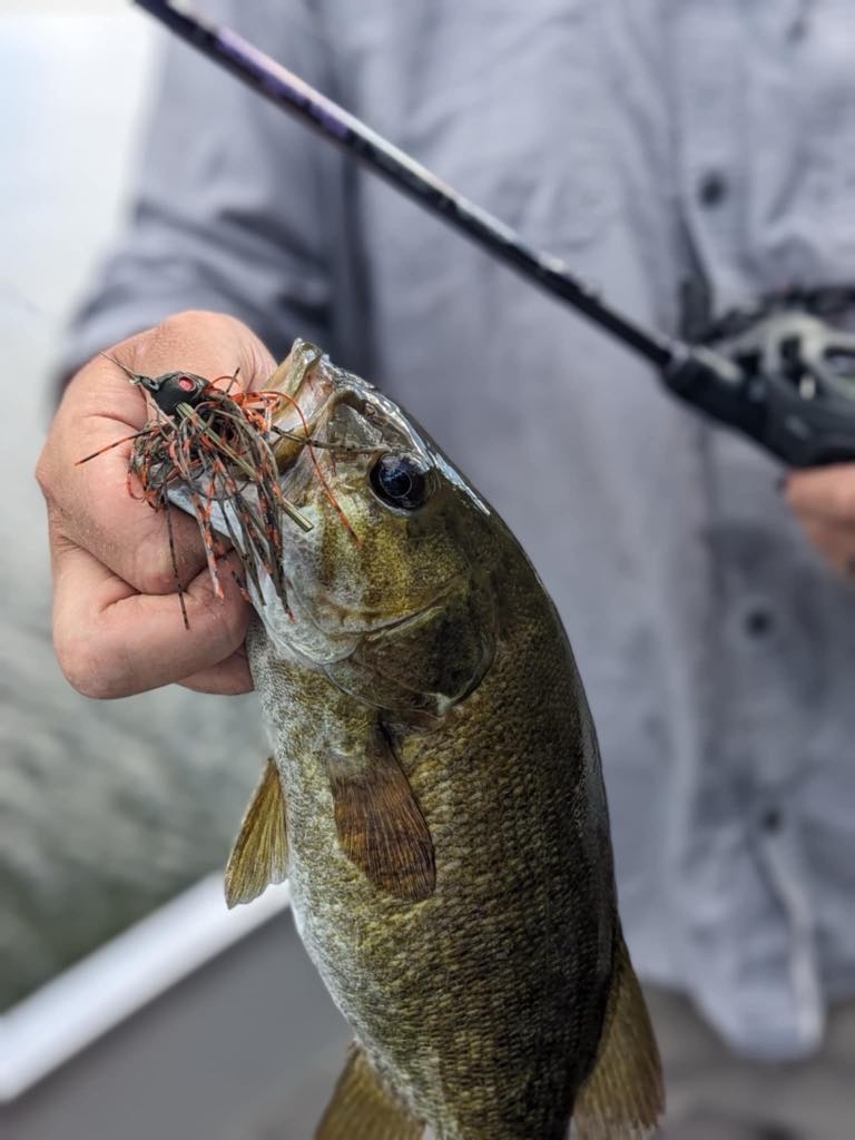 Tioga County Lakes, Pine Creek, & Surrounding Waterways  Fishing Report 