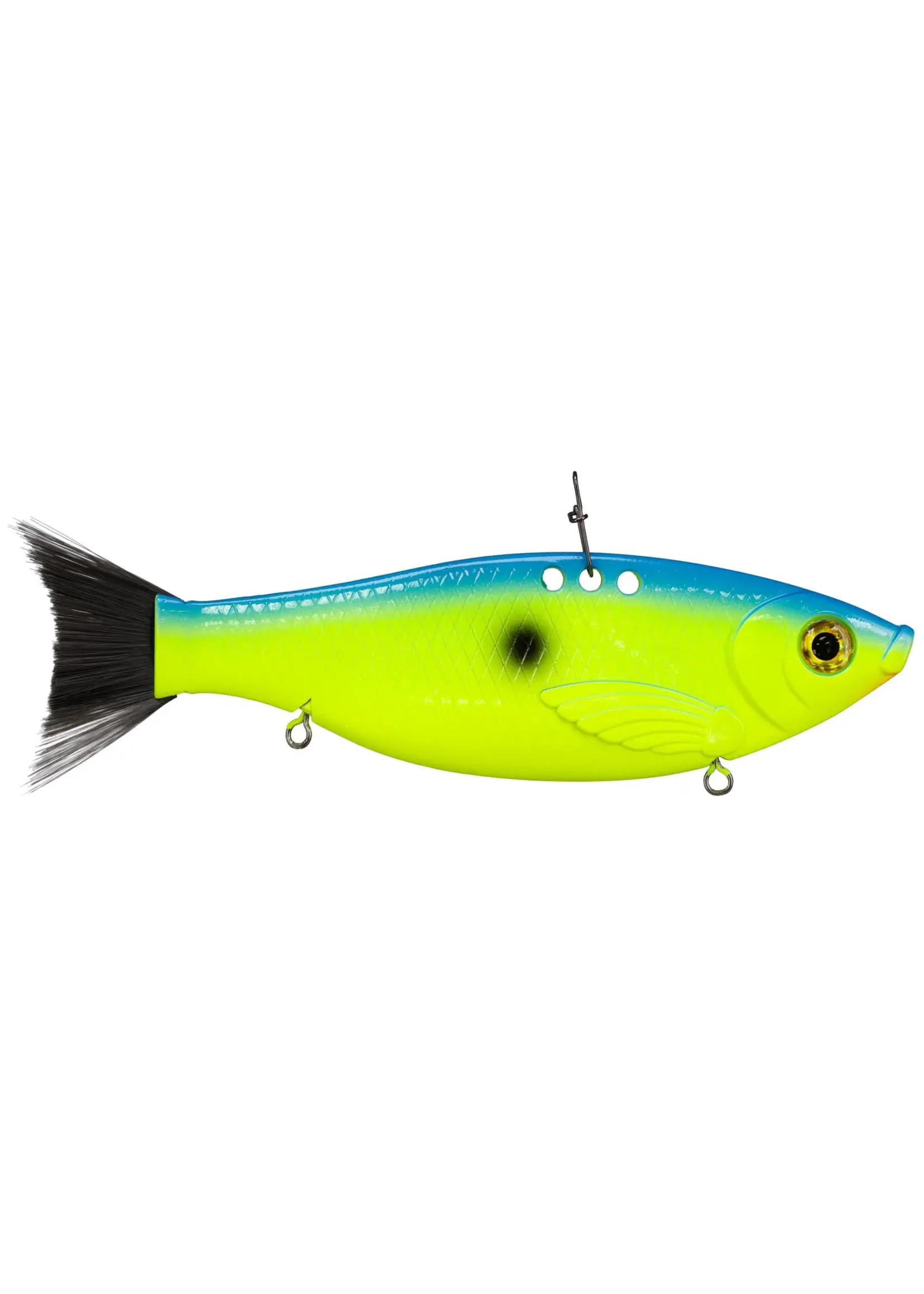 Bill Lewis Bill Lewis Big Gizz