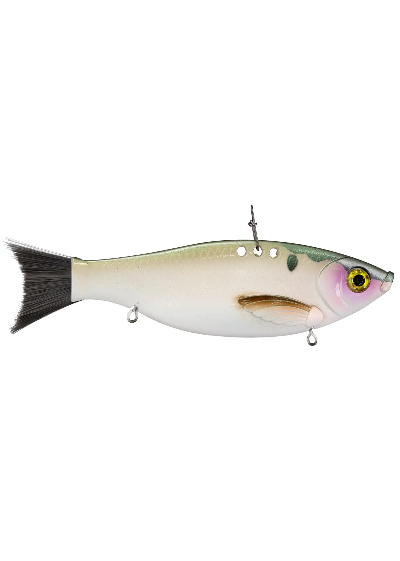 Bill Lewis Bill Lewis Big Gizz