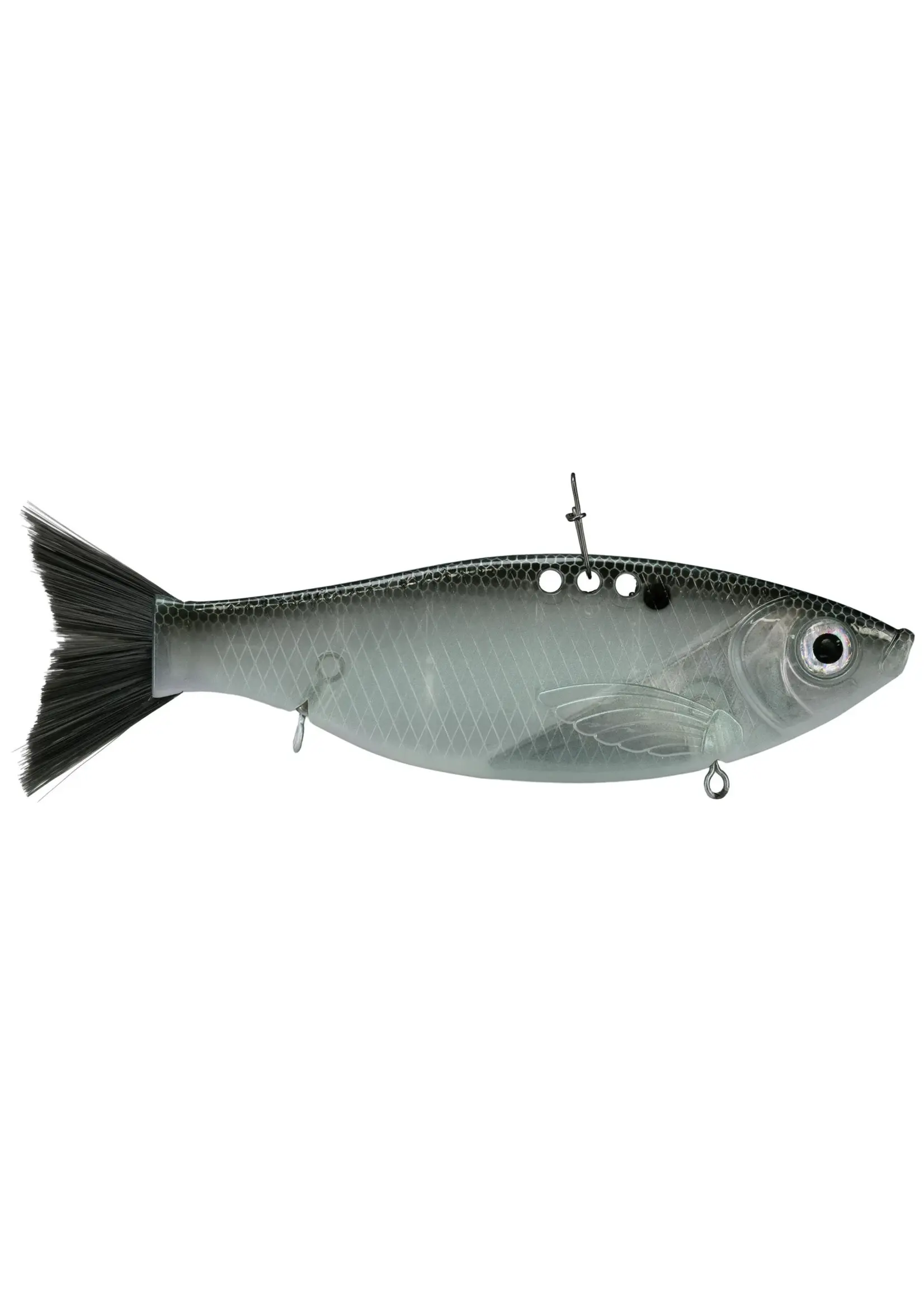 Bill Lewis Bill Lewis Big Gizz