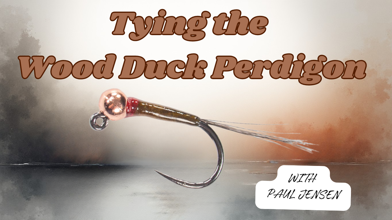 Tying the Wood Duck Perdigon - a Euro Nymphing staple