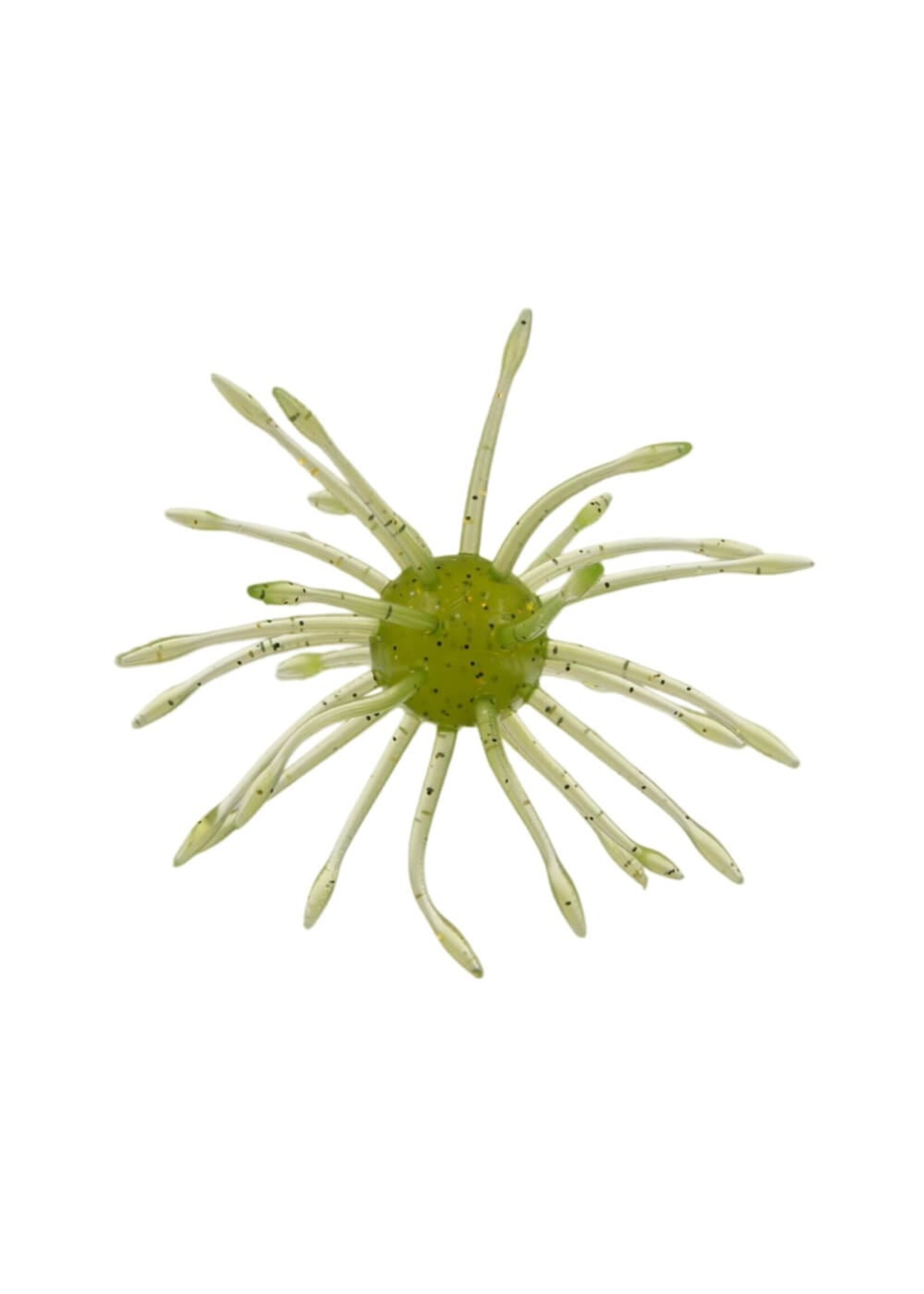 Gary Yamamoto Yamamoto Uni