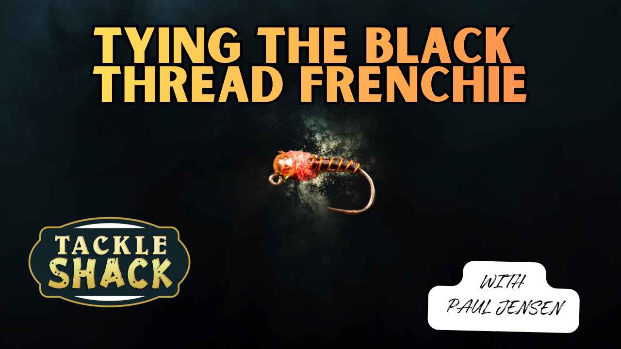 Tying a Black Thread Frenchie - Tackle Shack Fly Tying Tutorial