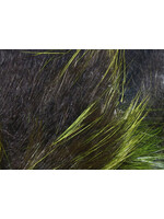 Hareline Dubbin Hareline Frost Tip Magnum Rabbit Strips