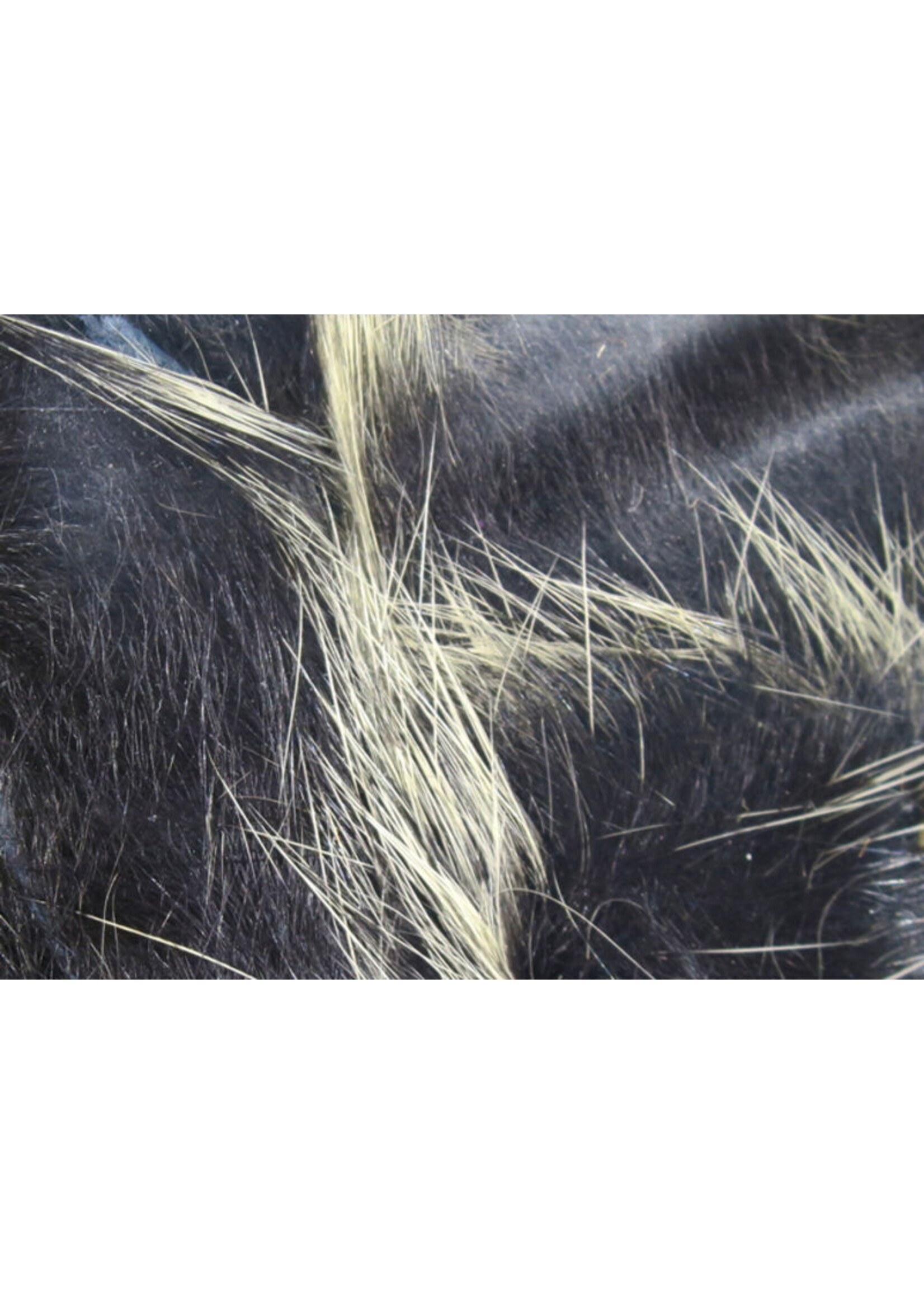 Hareline Dubbin Hareline Frost Tip Magnum Rabbit Strips