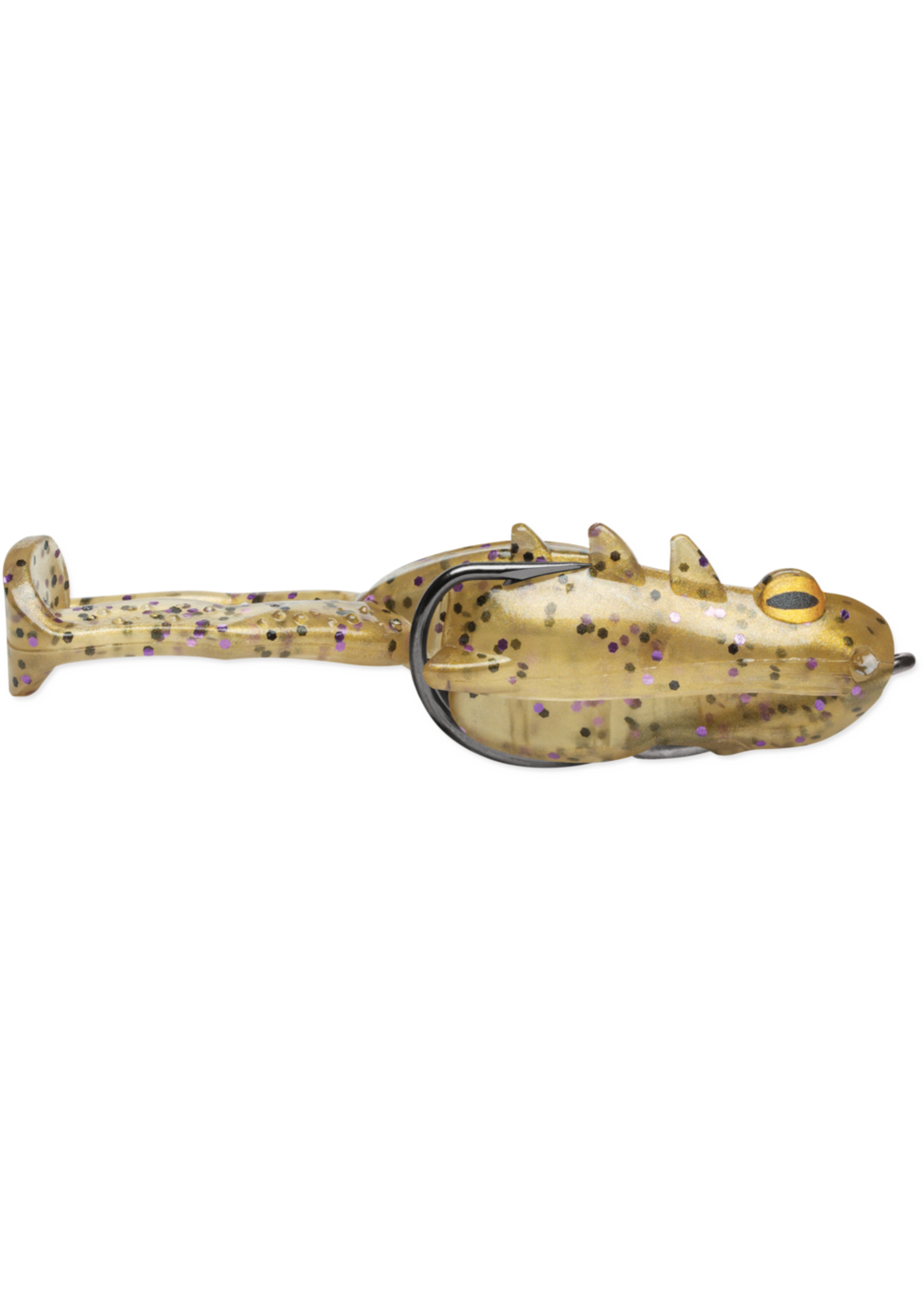 Storm Storm Surge Frog