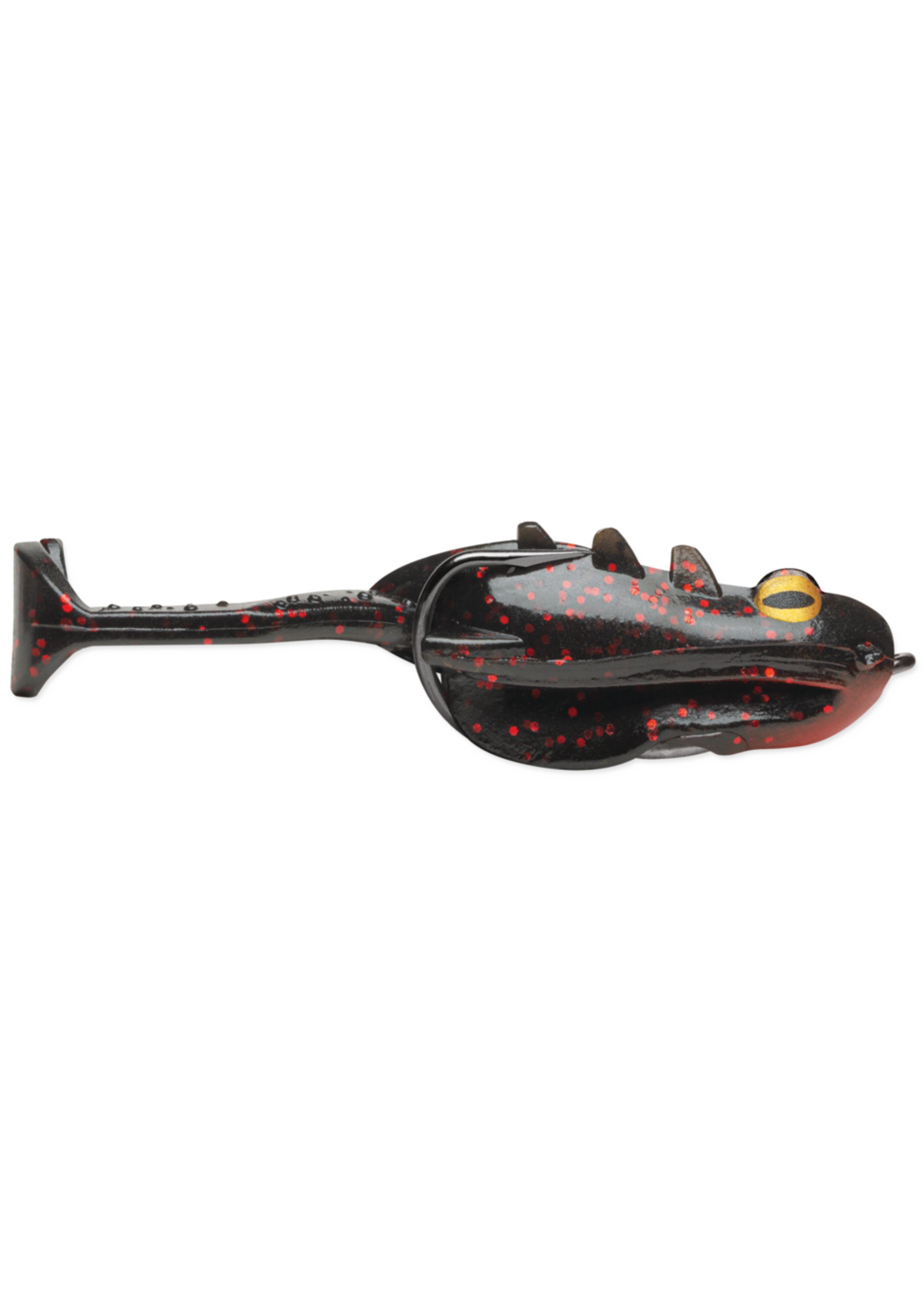 Storm Storm Surge Frog