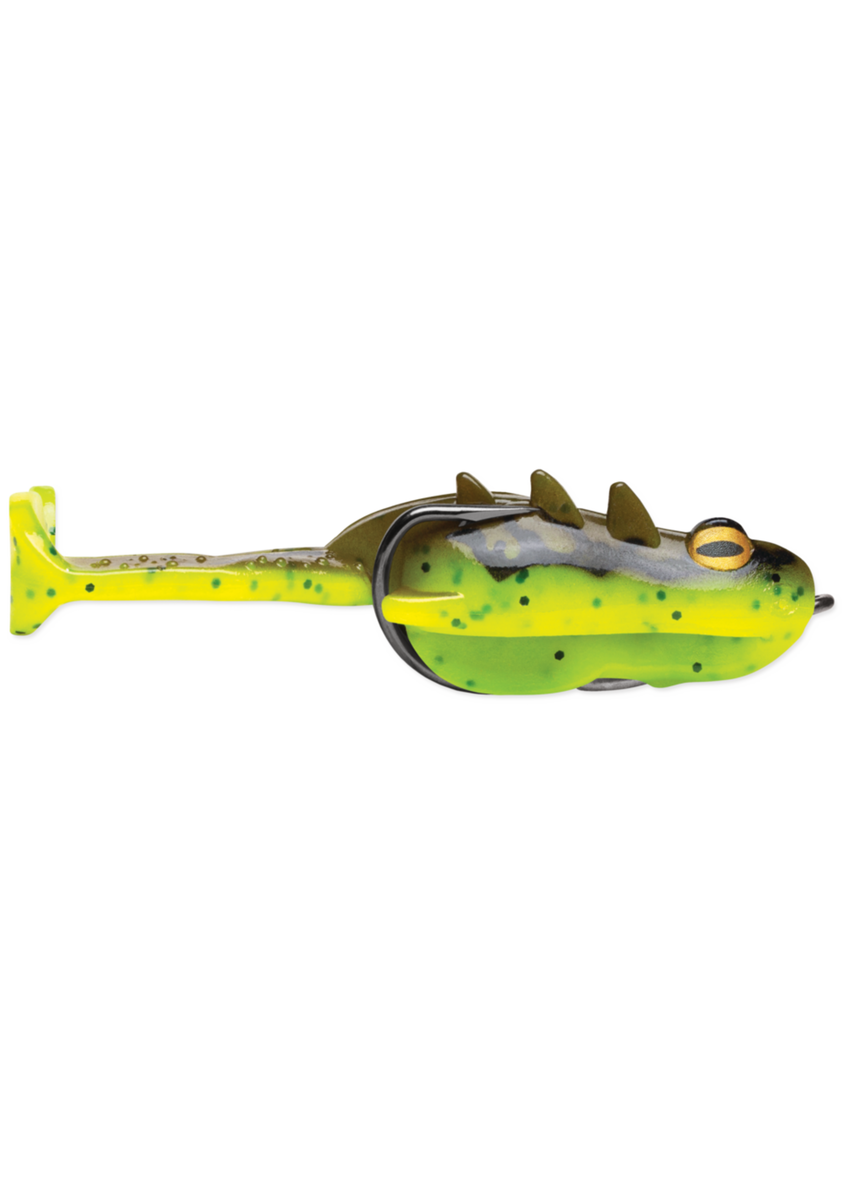 Storm Storm Surge Frog