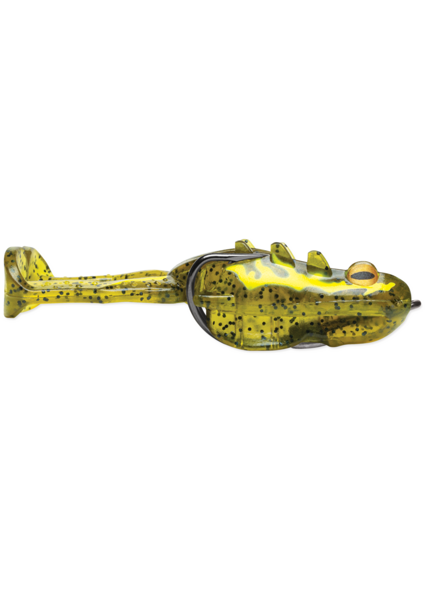 Storm Storm Surge Frog