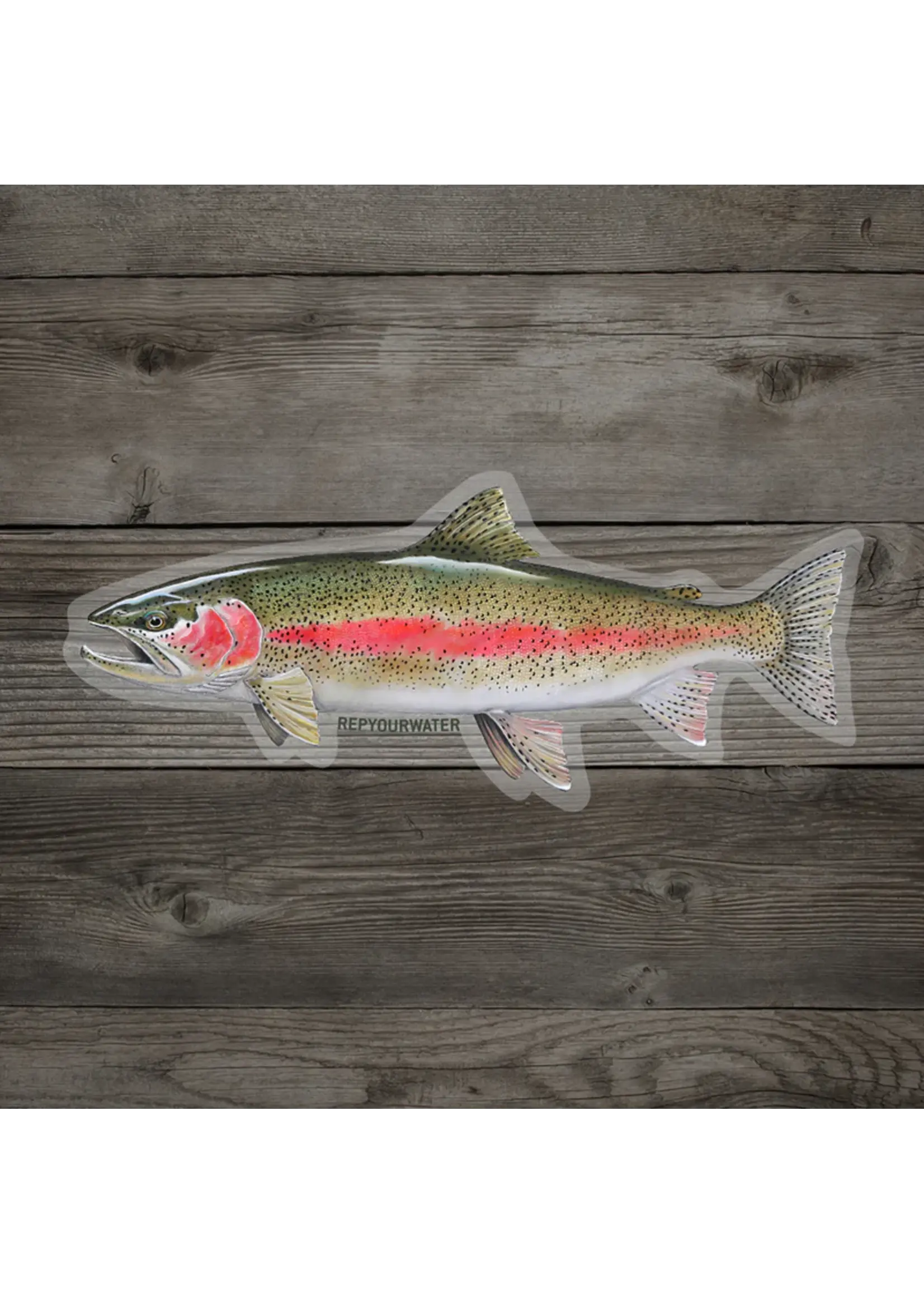 Rep Your Water RepYourWater Cold Water Rainbow Sticker