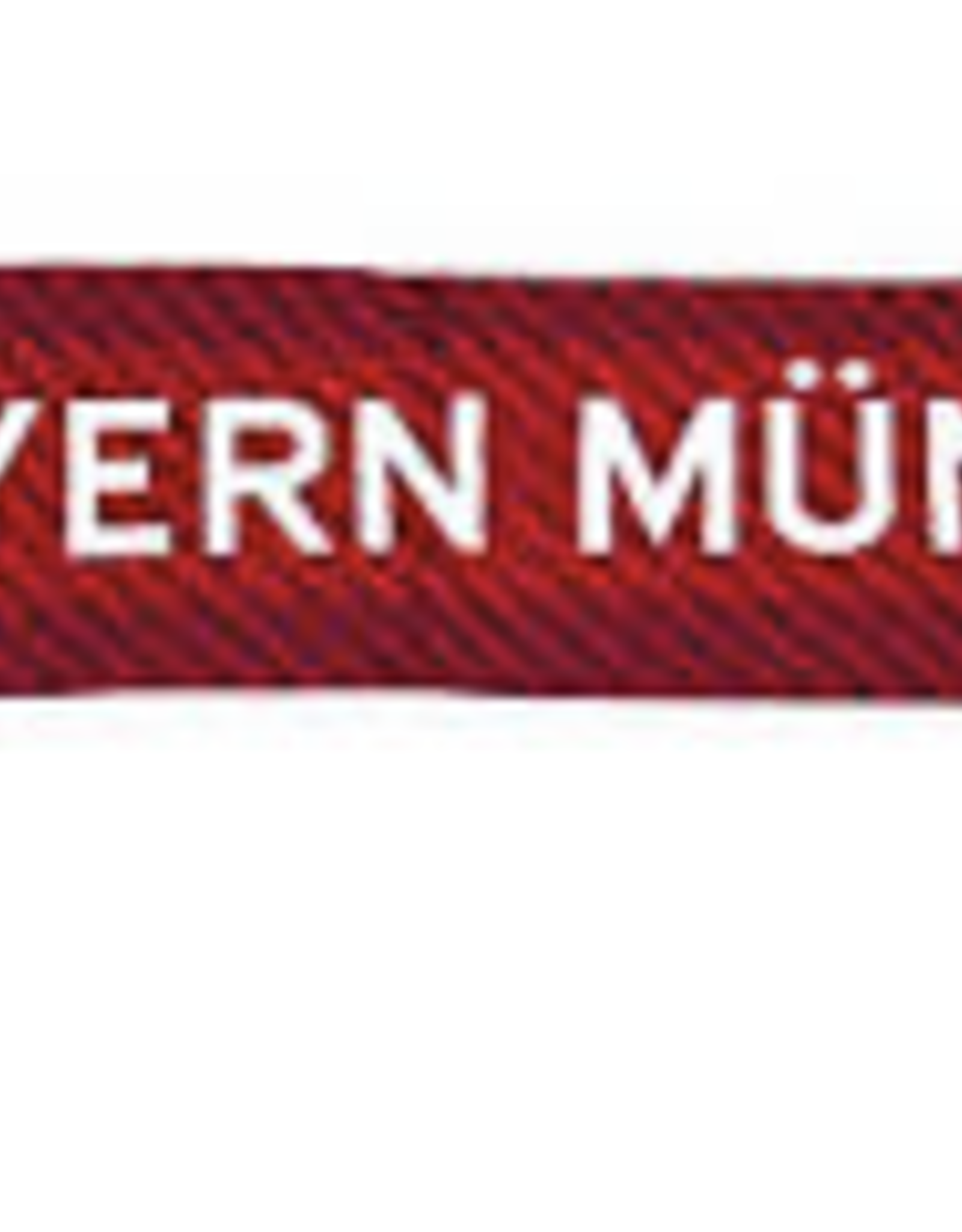 FC Bayern Munchen Scarf