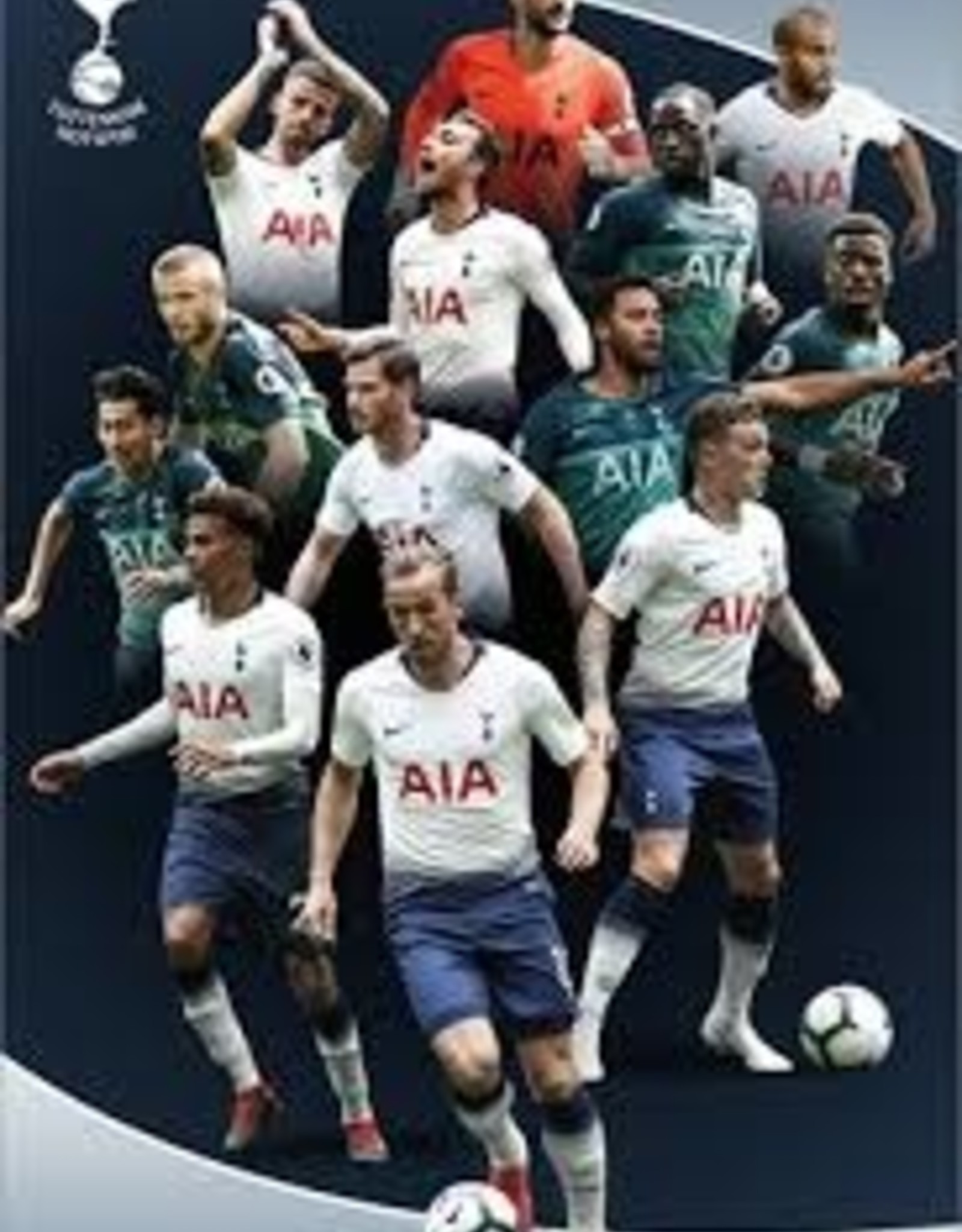 Tottenham Player Poster