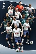 Tottenham Player Poster with Frame