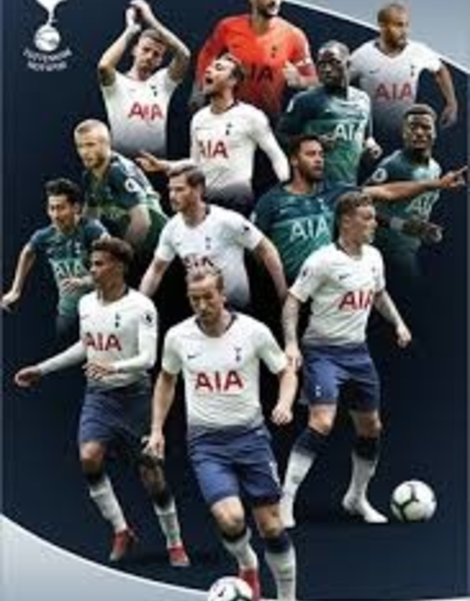 Tottenham Player Poster with Frame