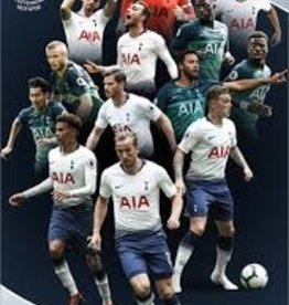 Tottenham Player Poster with Frame