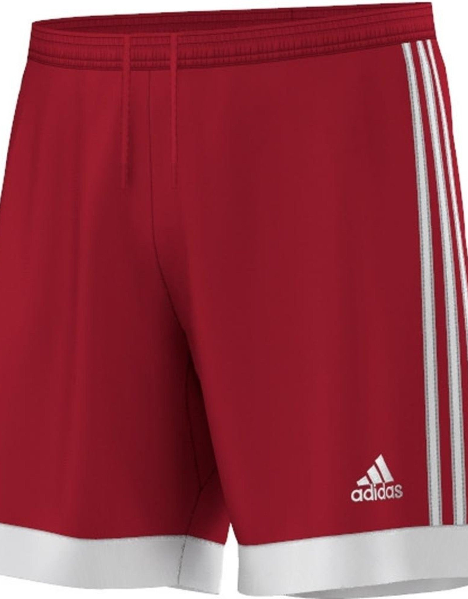 Adidas Adidas Tast 15 Shorts