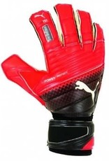 Puma Puma EvoPower Protect 2.3 GC Goalkeeper Glove