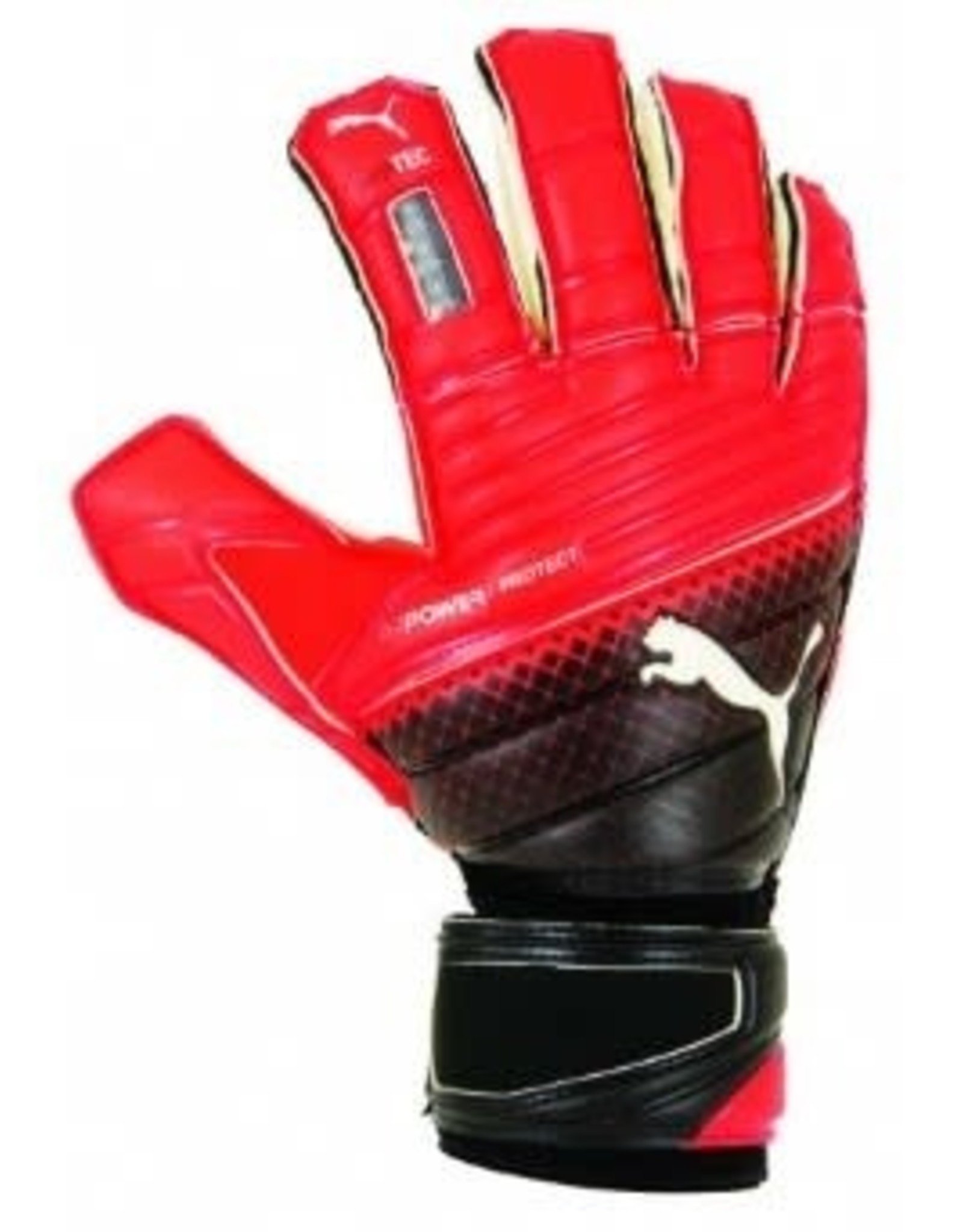 Puma Puma EvoPower Protect 2.3 GC Goalkeeper Glove